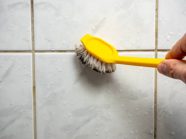 Best Best Mold Removal Companies  in Elkhorn, CA