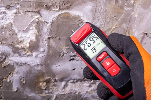 Best Mold Cleaning Services  in Elkhorn, CA