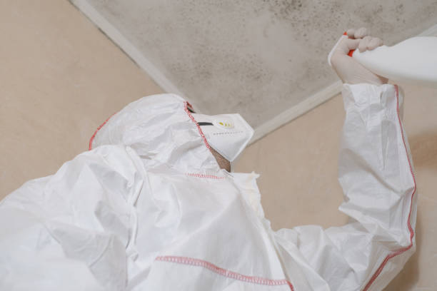 Best Emergency Mold Removal  in Elkhorn, CA